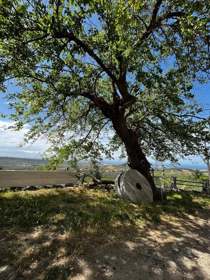 Casa Maria Host Green - Casa Vacanze - Rossano Case San Francesco Dış mekan fotoğraf